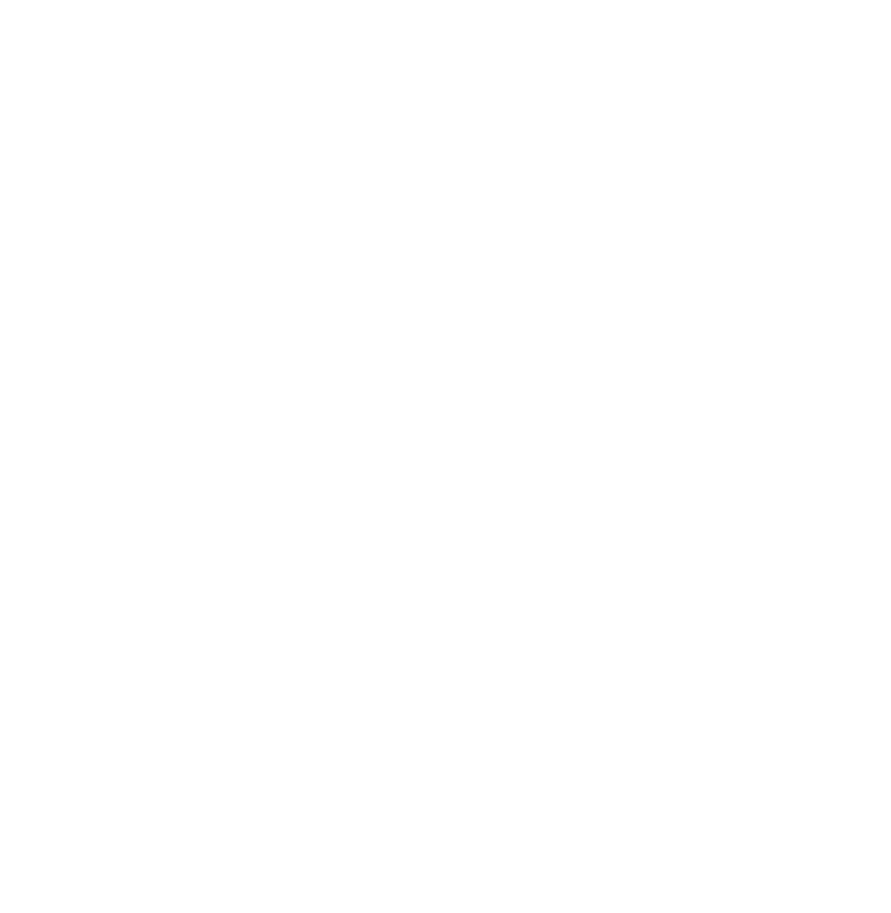 Bizpaye Payment Services